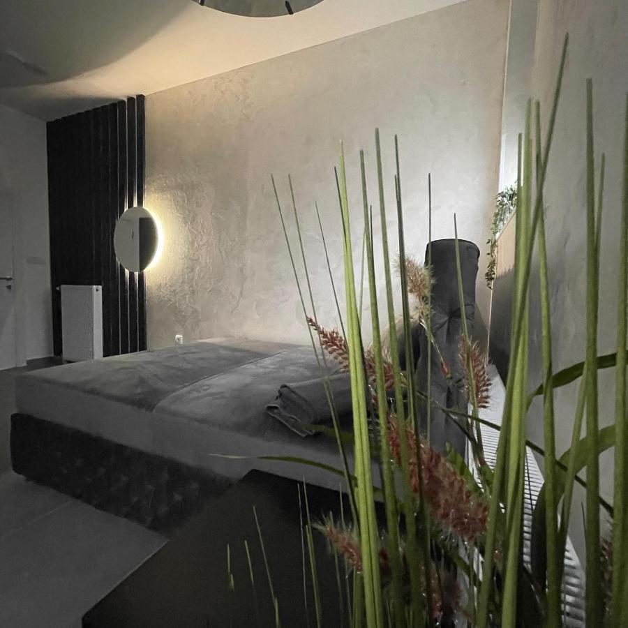 Tepic Garni Hotel Temerin ภายนอก รูปภาพ
